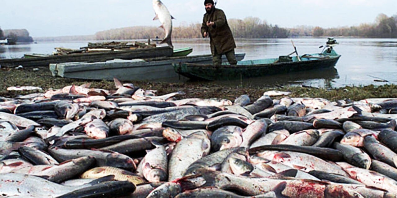 <span class="entry-title-primary">Magyarázza már meg valaki!</span> <span class="entry-subtitle">Cianid, klorid, szulfát, nitrát meg a többiek</span>