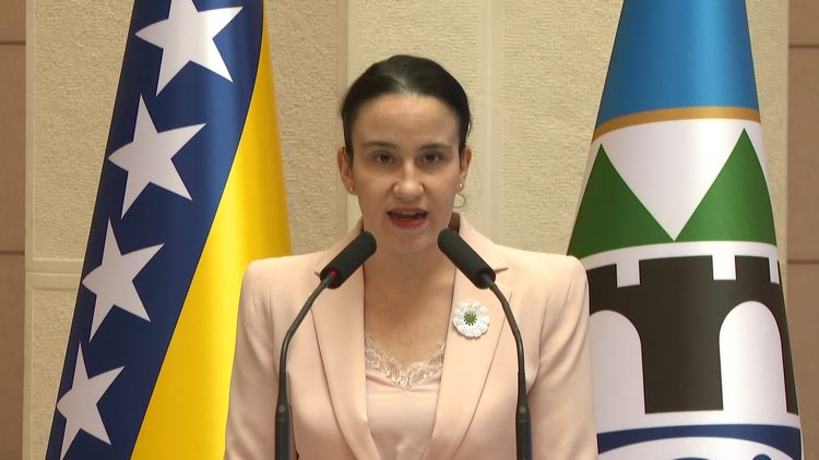 Karić: Megdöbbent, hogy Šapić nem tud Ratko Mladić háborús bűneiről