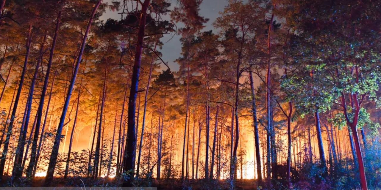 Harminc szerbiai tűzoltó segíti a görögországi tüzek oltását