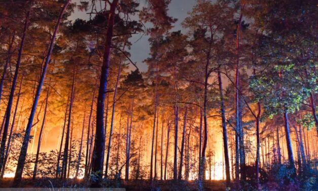 Szabadkán nincs meg a megfelelő tűzvédelmi infrastruktúra