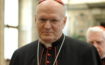 Közülük kerülhet ki Ferenc pápa utódja