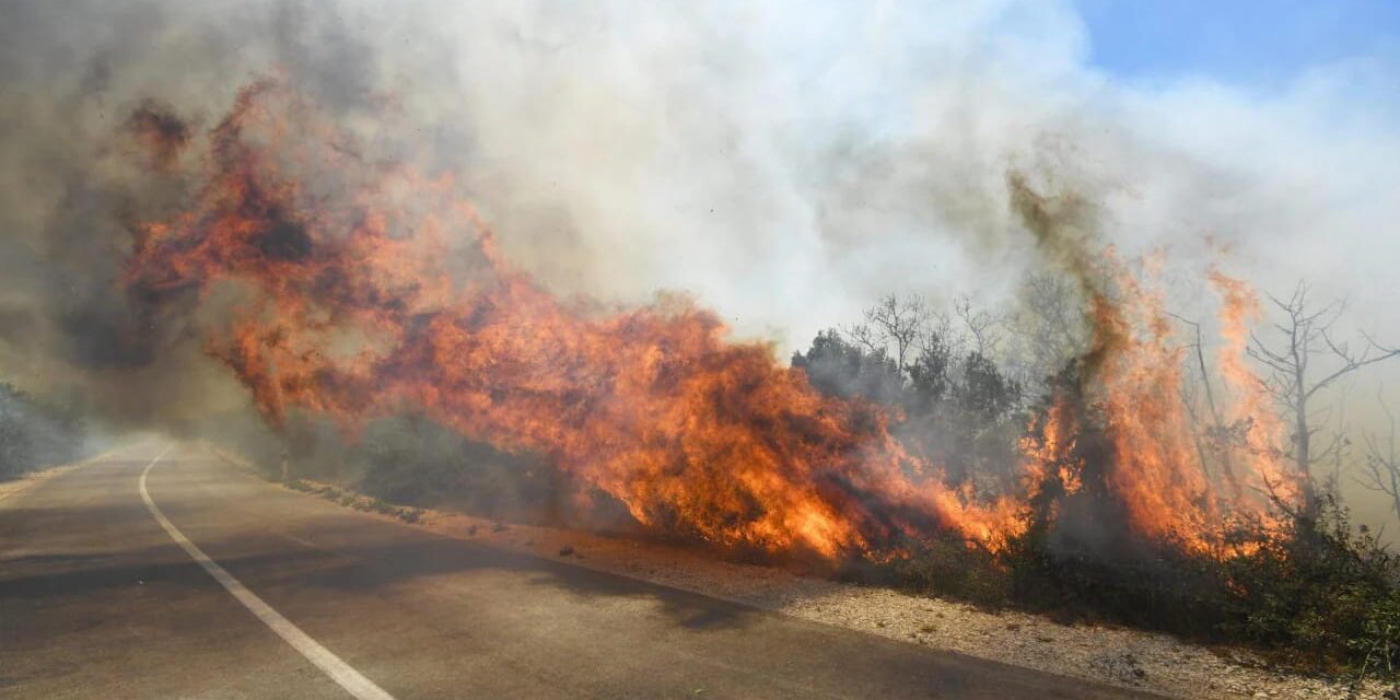 Tűz ütött ki Szabadkánál az autópálya mellett (videóval)