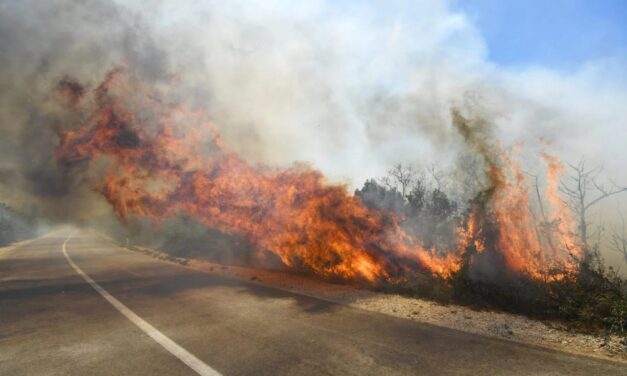 Tűz ütött ki Szabadkánál az autópálya mellett (videóval)