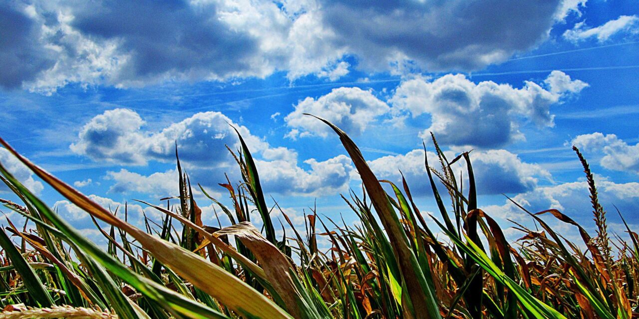 Tovább tart a hőség, mint gondoltuk, vörös riasztásra kell készülni
