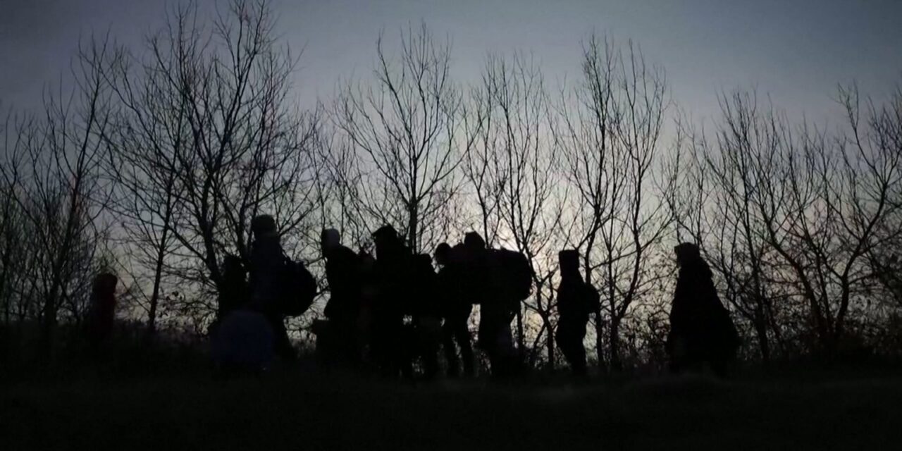 Naponta mintegy kétszázan próbálnak Magyarországra szökni a Szabadka környéki erdőkből