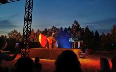 Gyökerek nélkül nem lehet történelmet írni Scapin visszatért a vajdasági színpadokra