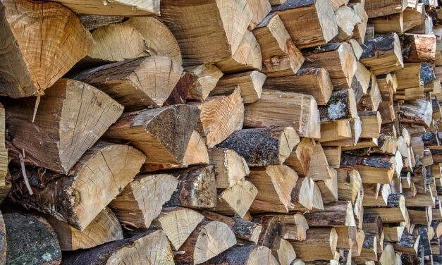 Már drágább a tűzifa, mint egy hónappal ezelőtt