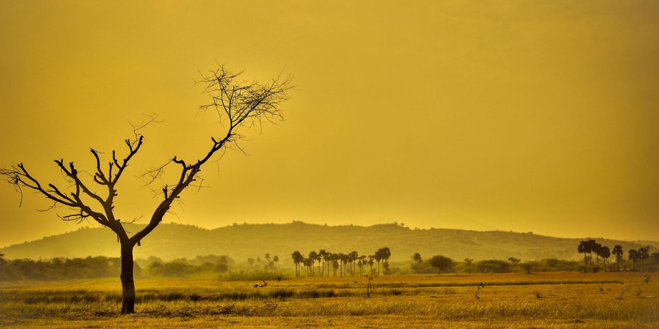 A NASA szerint 2023 volt a Föld legmelegebb nyara