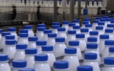 A tej drágult meg leginkább, de mi lett olcsóbb?