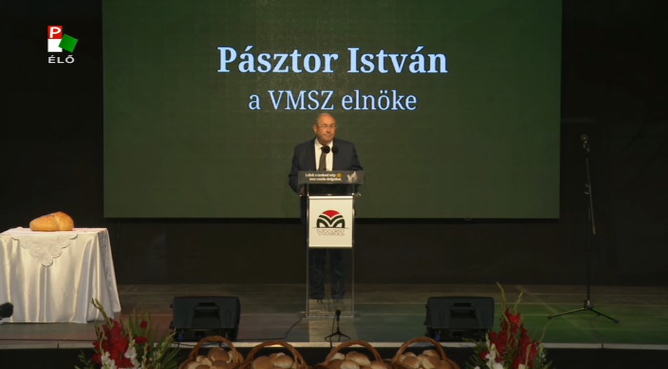 <span class="entry-title-primary">„Szent István szabad néppé tett bennünket”</span> <span class="entry-subtitle">Pásztor: A védett szelevényi erdőbe, ahová kirándulni vitték a gyerekeket, ma a rendőrség se meri betenni a lábát</span>