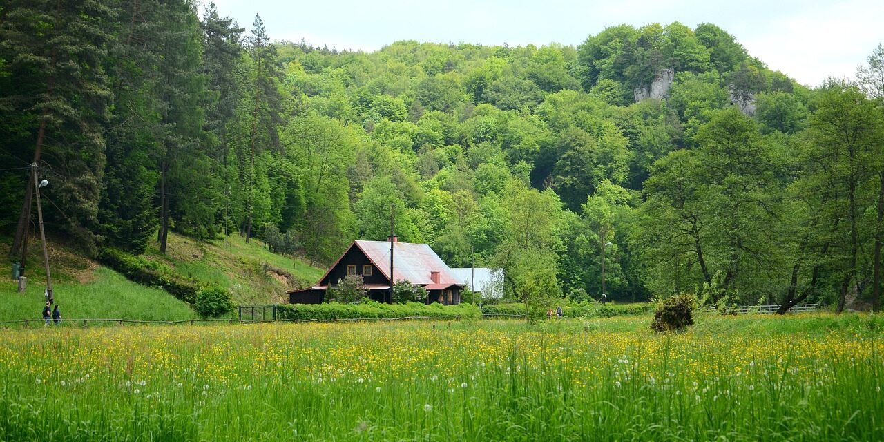 410.000 euróért kelt el egy hétvégi ház Vajdaságban