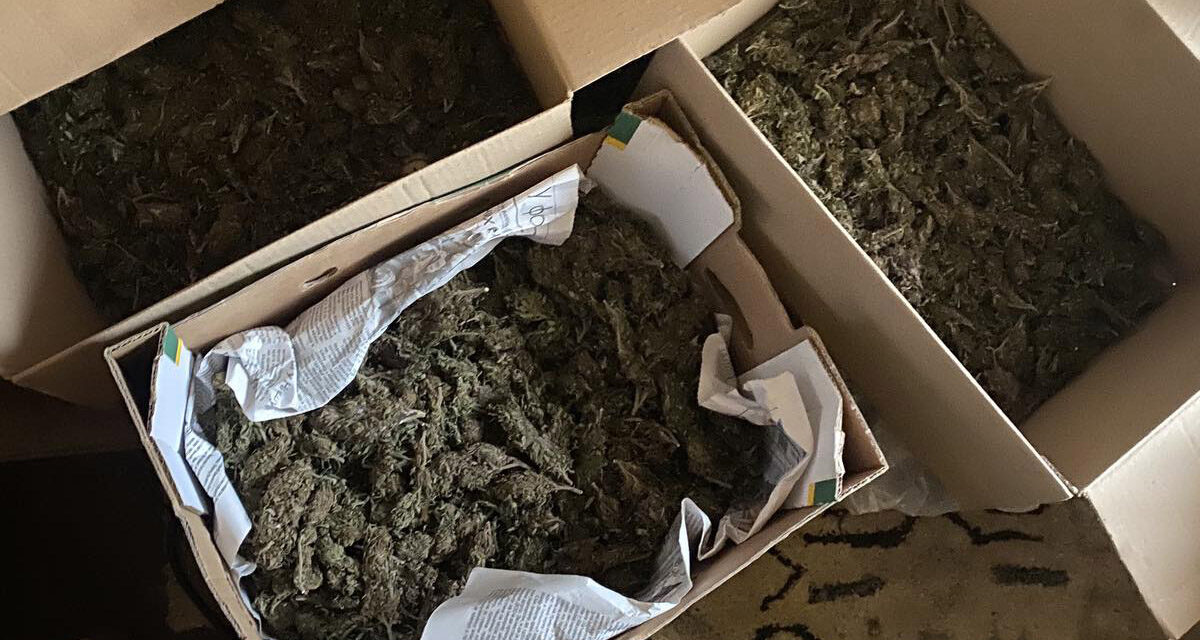 Több kiló kábítószerrel bukott le az újvidéki díler