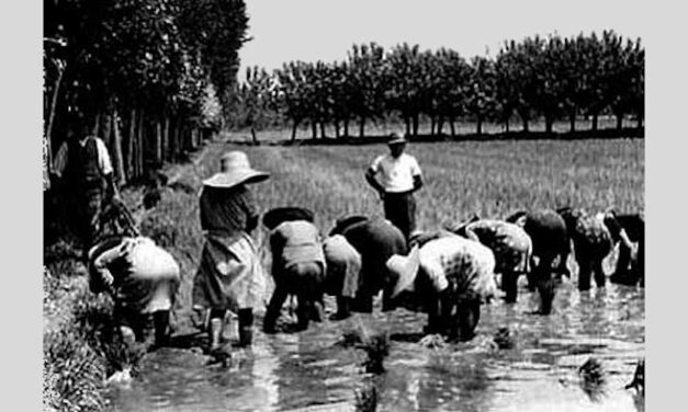 A nemzet napszámosait és diákjaikat gúnyolja a Magyar Nemzet
