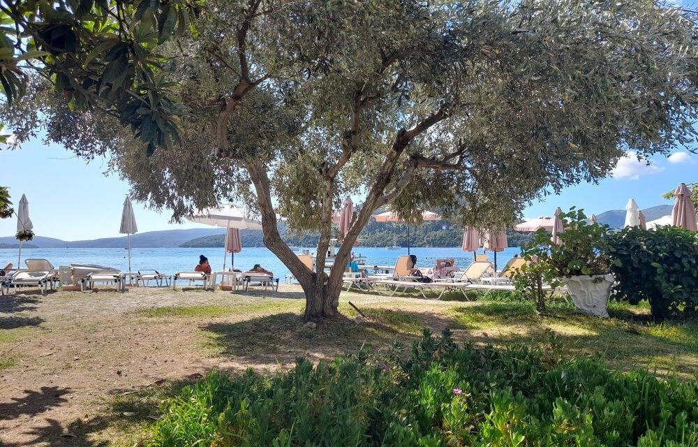 Egy édenkertben jártam