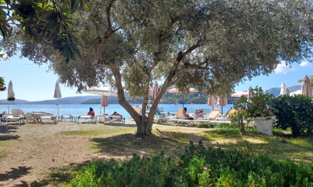 Egy édenkertben jártam