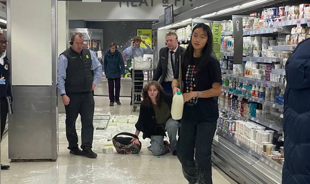 Szétlocsolt tejjel a fenntartható jövőért