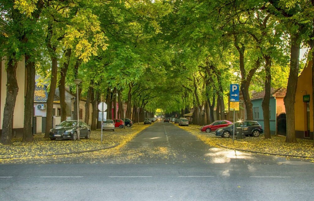 Hetvenezerrel csökkent a magyarok száma Szerbiában