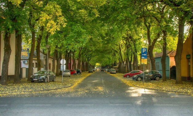 Hetvenezerrel csökkent a magyarok száma Szerbiában