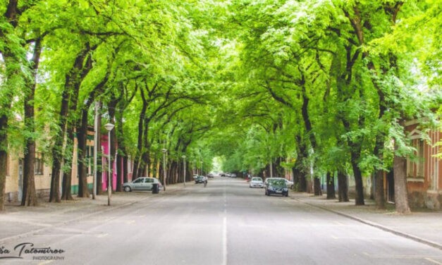 Zárolták a város számláját, a polgármester lemondását követelik a nagykikindaiak