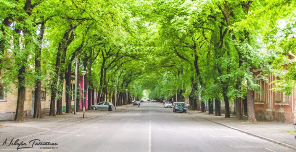 Zárolták a város számláját, a polgármester lemondását követelik a nagykikindaiak