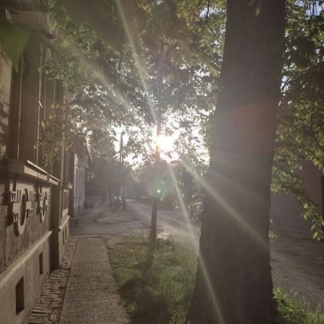 Vučić: Használják ki az indián nyár utolsó napsugarait!