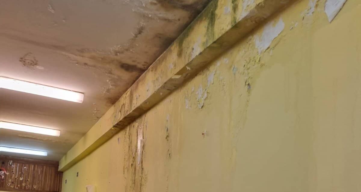 Penészes, omladozó falak egy szabadkai óvodában