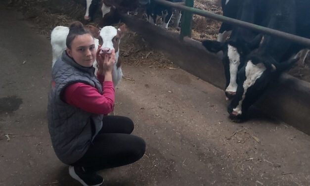 Kinek éri meg ma mezőgazdasággal és állattenyésztéssel foglalkozni?