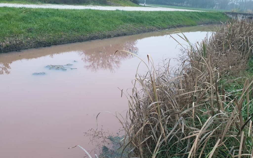 A pacséri fürdő víze rózsaszínre festette a Krivaját