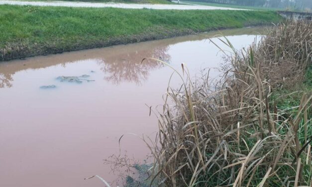 A rendkívüli felügyelőségi vizsgálat megállapította: Szennyezett a Krivaja