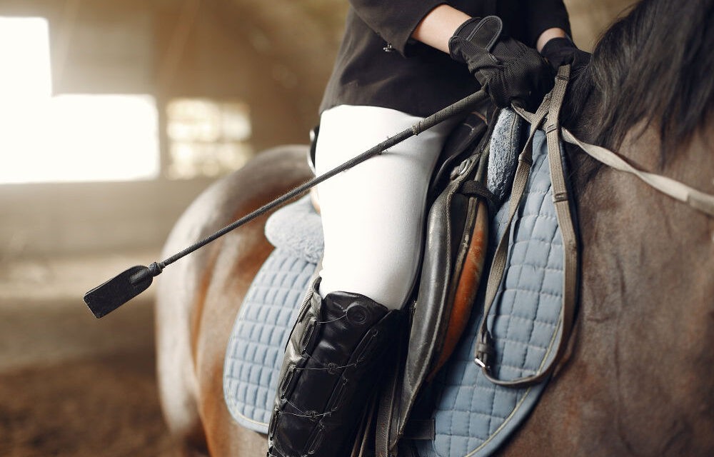 Ló(vá tett)verseny