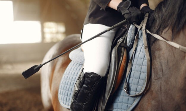 Ló(vá tett)verseny