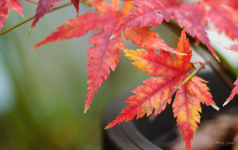 Alig lesz csapadék novemberben, de a hónap végén havazhat