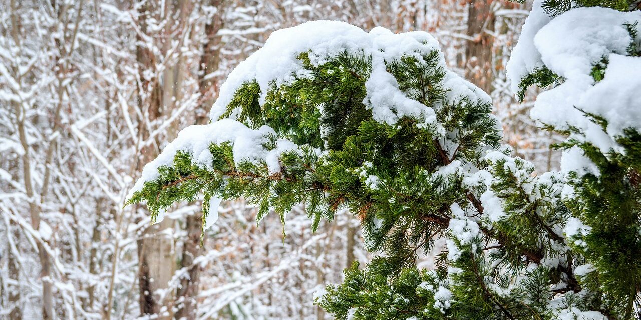Már novemberben leeshet az első hó