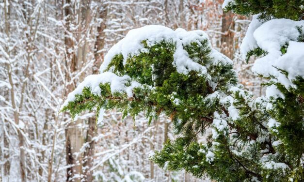 Már novemberben leeshet az első hó