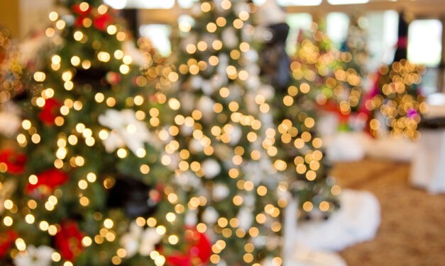 <span class="entry-title-primary">140 éves a karácsonyi égősor</span> <span class="entry-subtitle">Azóta is bogozgatjuk</span>