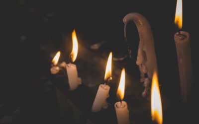 Elhunyt a neves újvidéki professzor