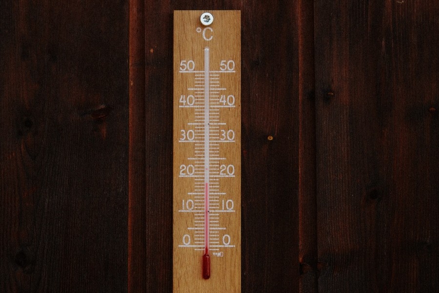 Nem kedvez a növényeknek a túlságosan enyhe idő