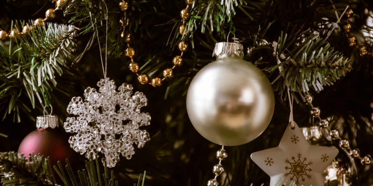 A topolyai szülők nem tudták, hogy a VMSZ szervezésében vitték karácsonyfát díszíteni óvodáskorú gyerekeiket