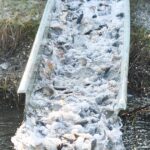 Borzasztó helyzet a halgazdaságokban, a piac háromnegyedét külföldről látják el