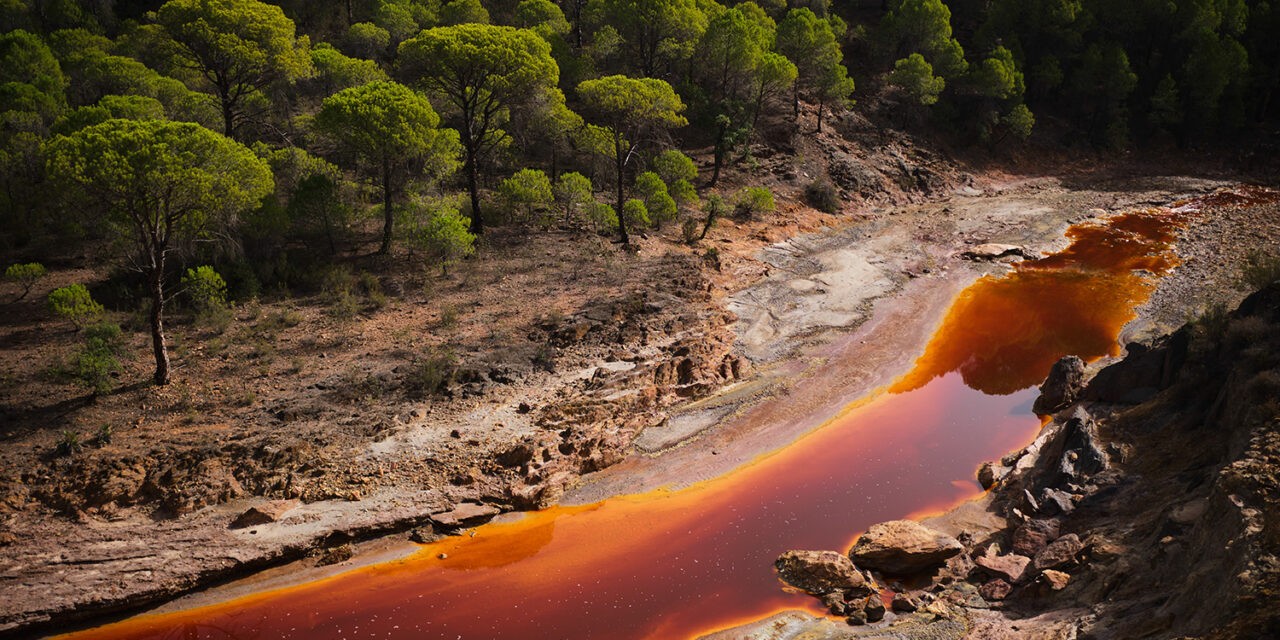 <span class="entry-title-primary">Országos szakmai elismerés munkatársunknak, Mina Delićnek</span> <span class="entry-subtitle">Alapítványunk szerb nyelvű kiadványában jelent meg a díjazott riport</span>