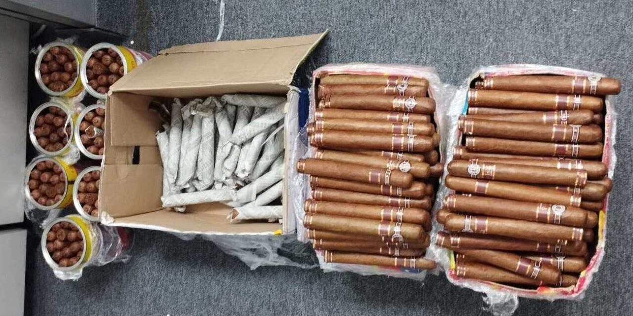 Kubai szivarokat szimatolt ki a szolgálati kutya a Nikola Tesla repülőtéren