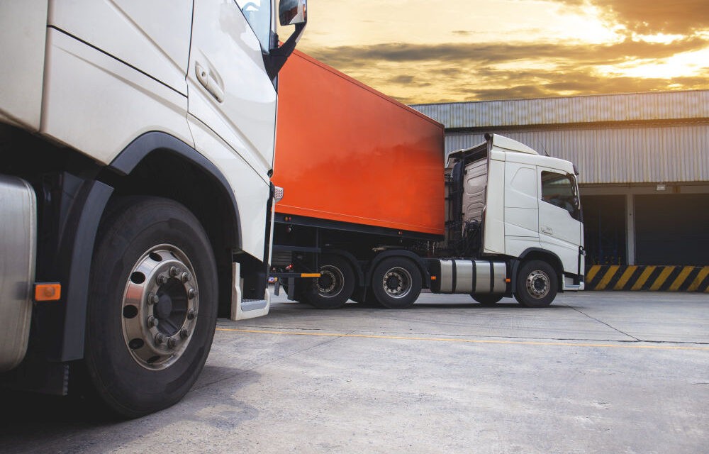 <span class="entry-title-primary">Sofőrhiány, kígyózó sorok a határon, elértéktelenedett fuvardíjak</span> <span class="entry-subtitle">A VI-TO Trans Kft. tulajdonosával beszélgettünk </span>