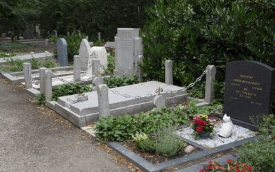 Múltamban-e a jövőm?