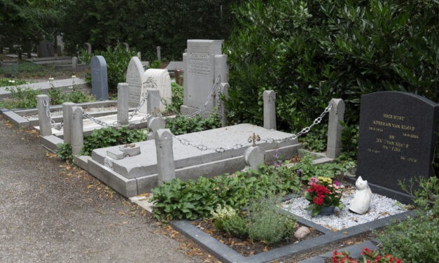 Múltamban-e a jövőm?