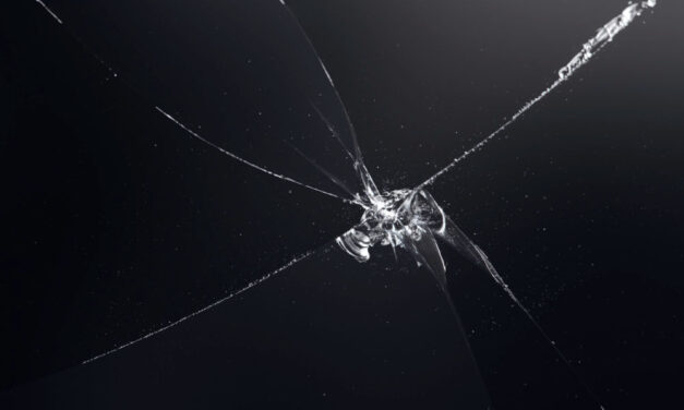 Losoncz Márk: Nyílt levél Pásztor Bálintnak és Vicsek Annamáriának