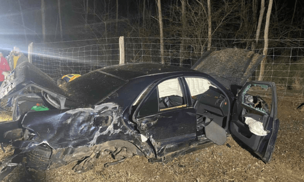 Ittas szerb embercsempész próbált menekülni a magyar rendőrök elől