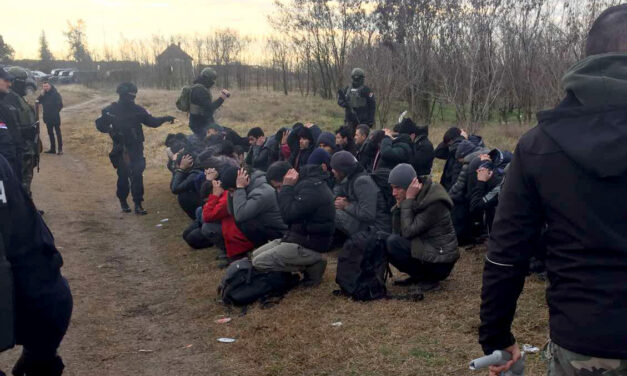 Horgos és Bácskeresztúr térségében 182 illegális bevándorlót fogtak el a rendőrök