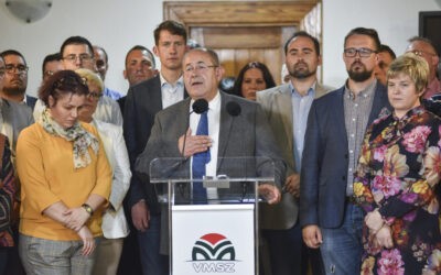 Losoncz Márk: Nyílt levél a VMSZ-nek
