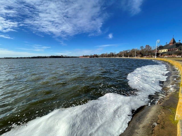 Miért habzik a Palicsi-tó?
