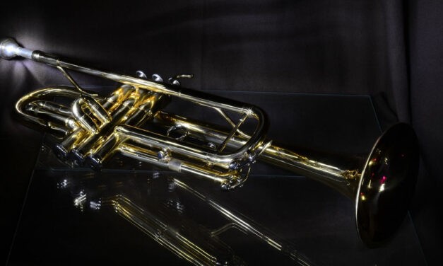 <span class="entry-title-primary">Gazsi távozásakor</span> <span class="entry-subtitle">Dorin Tudoran, a román disszidens költőbarát Tamás Gáspár Miklósra emlékezik (Lőwy Dániel fordításában és utóiratával a Szabad Magyar Szónak)</span>